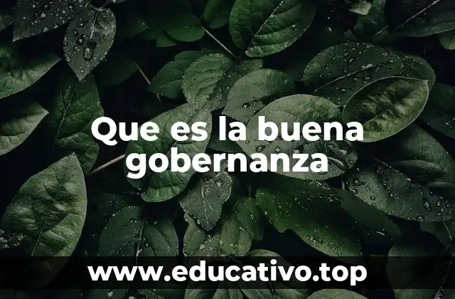 Que es la buena gobernanza