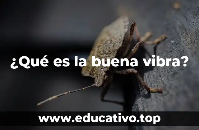 ¿Qué es la buena vibra?
