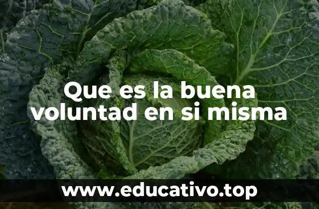 Que es la buena voluntad en si misma