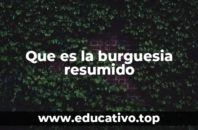 Que es la burguesia resumido