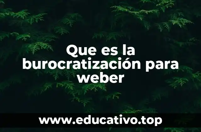 Que es la burocratización para weber