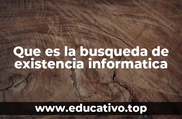 Que es la busqueda de existencia informatica