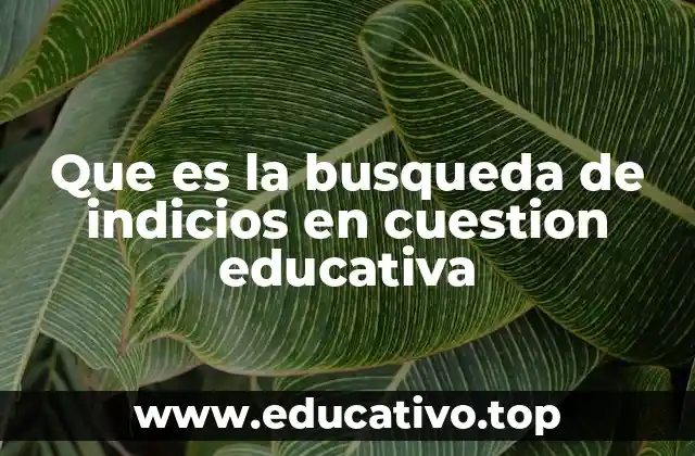 Que es la busqueda de indicios en cuestion educativa