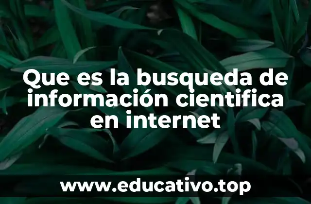 Que es la busqueda de información cientifica en internet