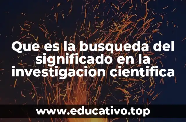 Que es la busqueda del significado en la investigacion cientifica