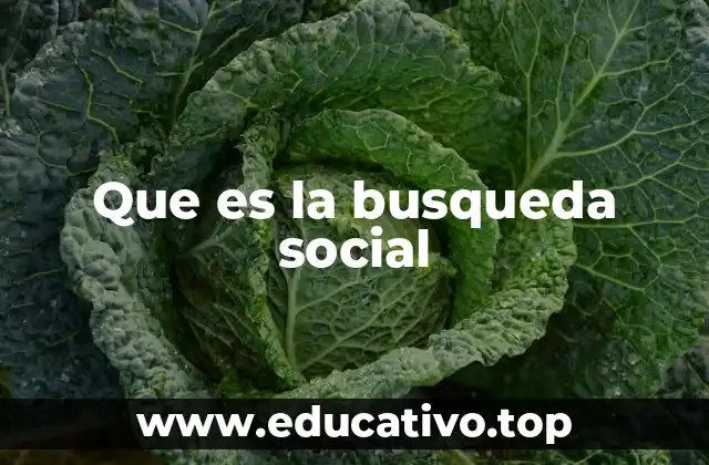Que es la busqueda social