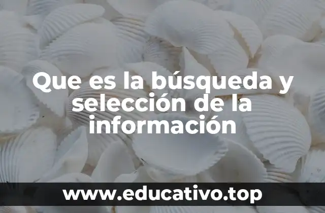Que es la búsqueda y selección de la información