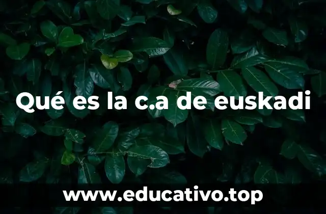 Qué es la c.a de euskadi
