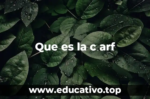 Que es la c arf