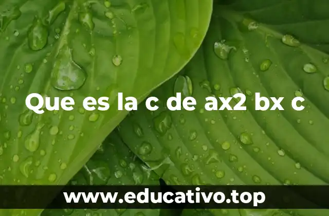 Que es la c de ax2 bx c