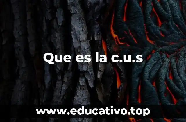 Cómo funciona el Código Único de Seguridad