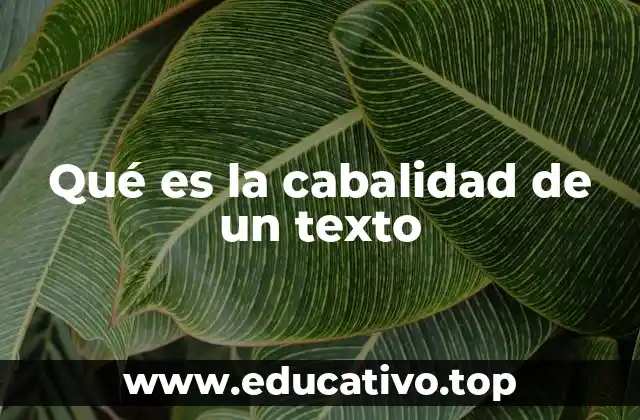 Qué es la cabalidad de un texto