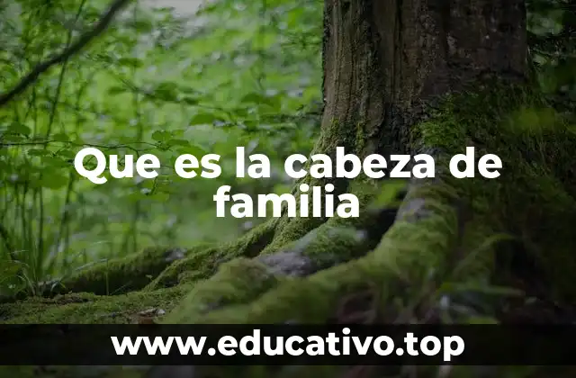Que es la cabeza de familia