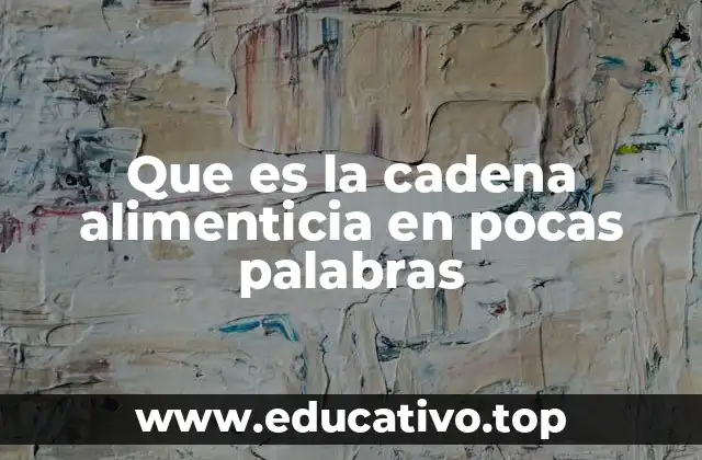 Que es la cadena alimenticia en pocas palabras