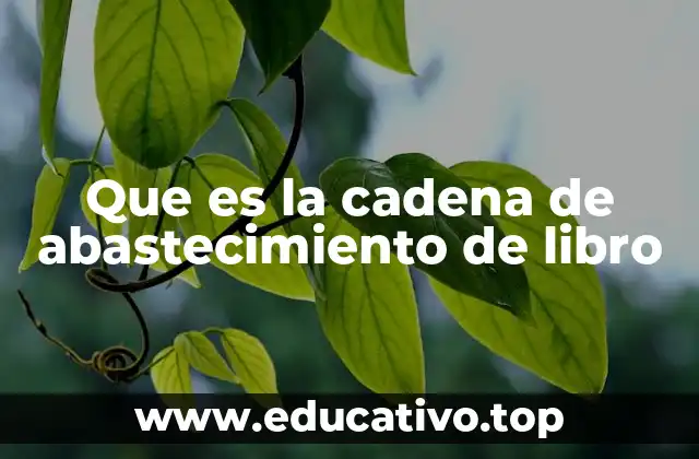Que es la cadena de abastecimiento de libro