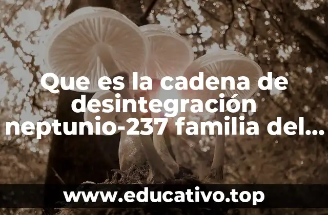 Que es la cadena de desintegración neptunio-237 familia del neptunio