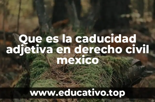 Que es la caducidad adjetiva en derecho civil mexico