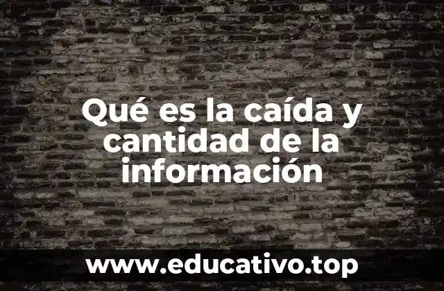 Qué es la caída y cantidad de la información