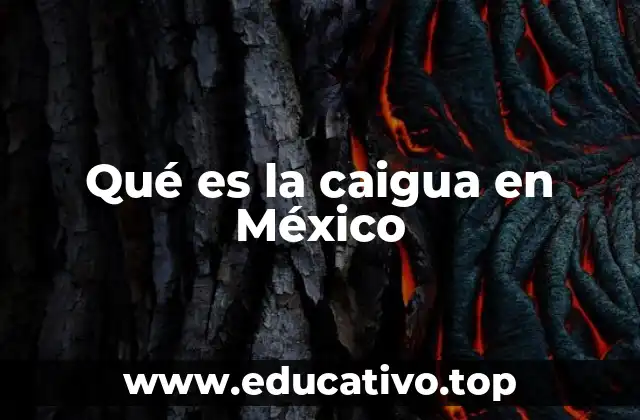 La caigua y su presencia en la gastronomía mexicana