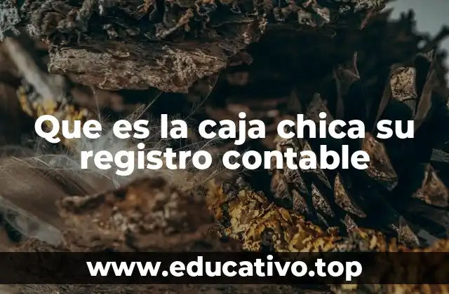 Que es la caja chica su registro contable