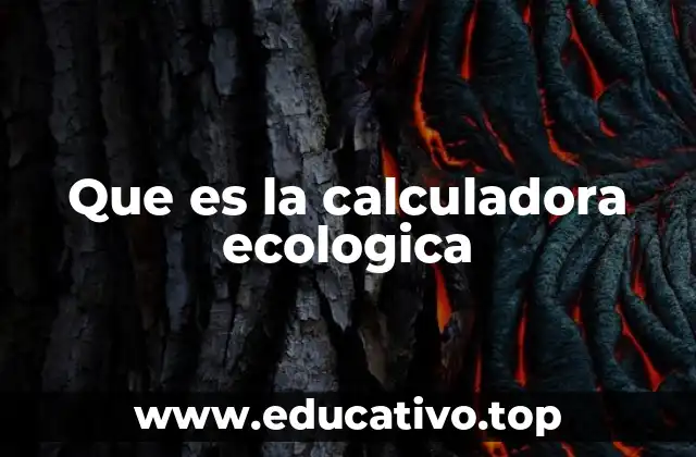 Que es la calculadora ecologica