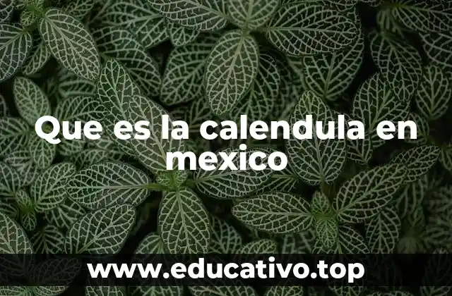 Que es la calendula en mexico