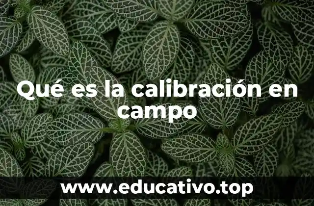 Qué es la calibración en campo
