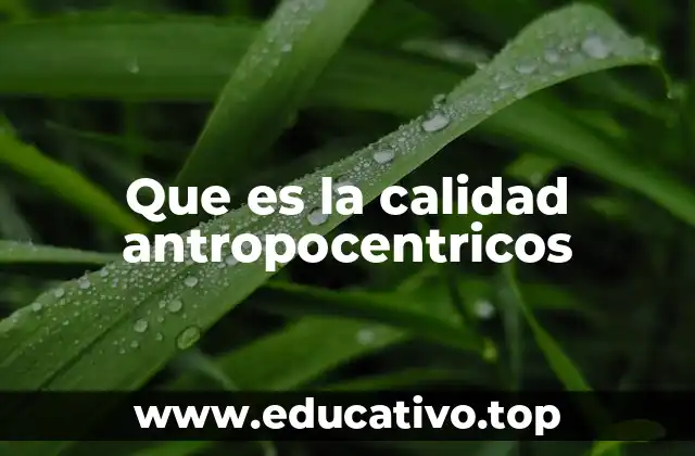 La calidad a través de los ojos humanos