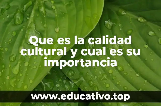 Que es la calidad cultural y cual es su importancia