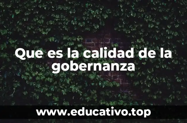 Principios fundamentales que sustentan una gobernanza eficaz