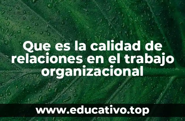 Que es la calidad de relaciones en el trabajo organizacional