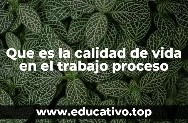 Que es la calidad de vida en el trabajo proceso