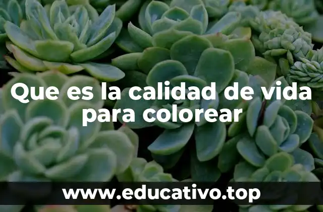 Que es la calidad de vida para colorear