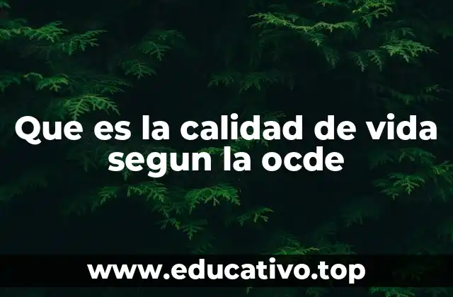 Que es la calidad de vida segun la ocde