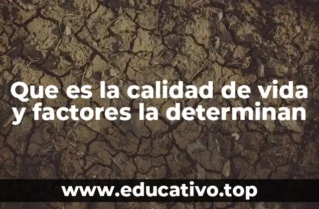 Que es la calidad de vida y factores la determinan