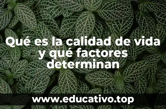 Qué es la calidad de vida y qué factores determinan