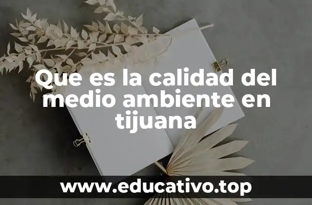 Que es la calidad del medio ambiente en tijuana