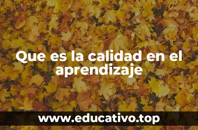 Que es la calidad en el aprendizaje