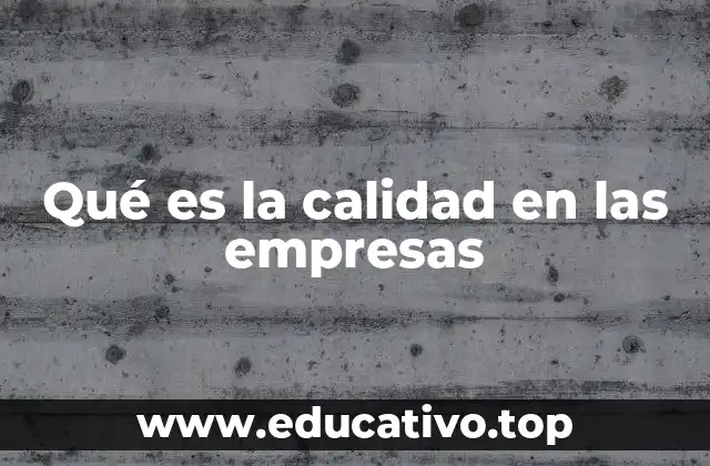 Qué es la calidad en las empresas