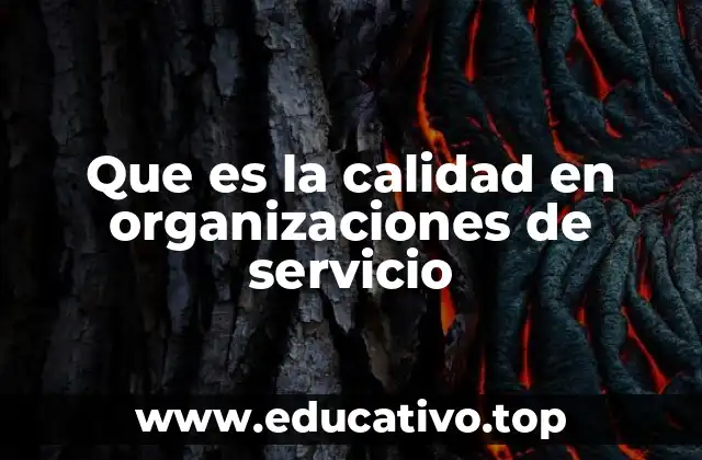 Que es la calidad en organizaciones de servicio