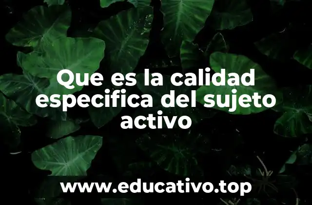 Que es la calidad especifica del sujeto activo