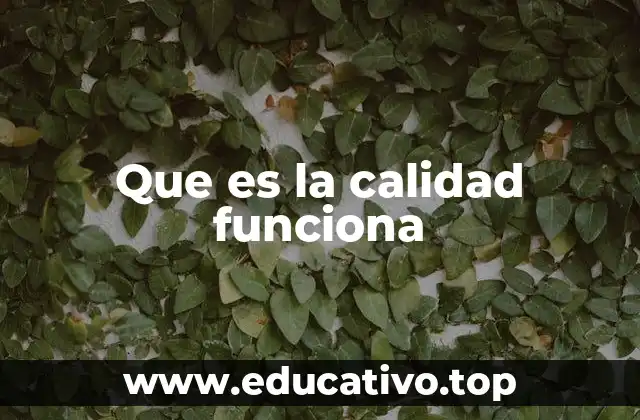Que es la calidad funciona