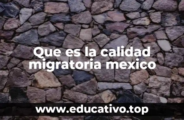 Que es la calidad migratoria mexico