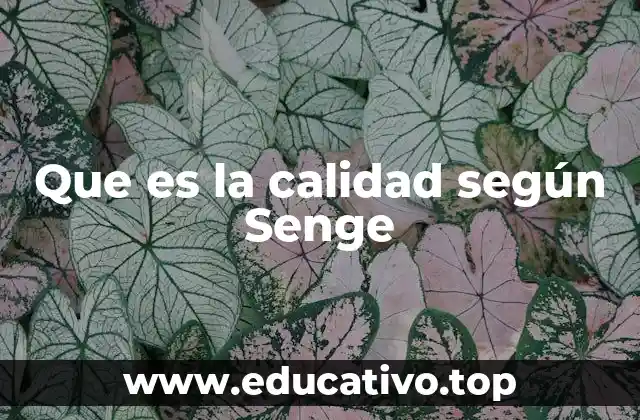 Que es la calidad según Senge