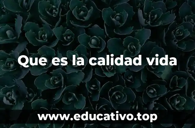 Que es la calidad vida