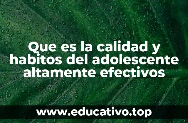 Que es la calidad y habitos del adolescente altamente efectivos