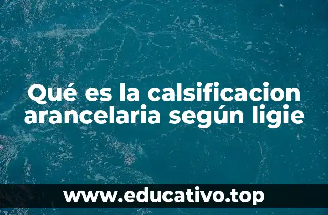 Qué es la calsificacion arancelaria según ligie