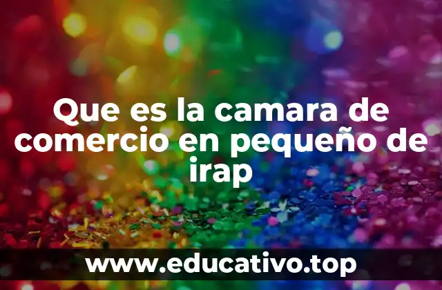 El rol de las cámaras de comercio en el desarrollo local