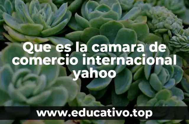 Que es la camara de comercio internacional yahoo