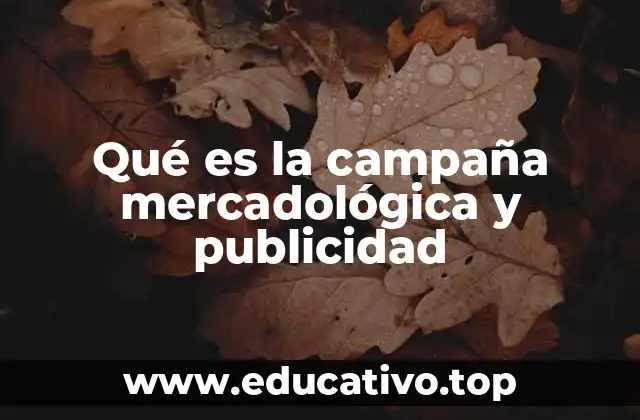 Qué es la campaña mercadológica y publicidad
